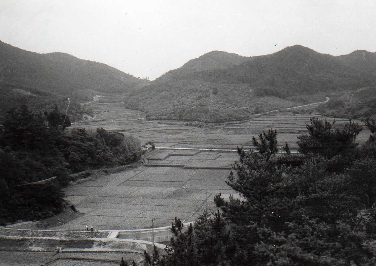 Image 62
